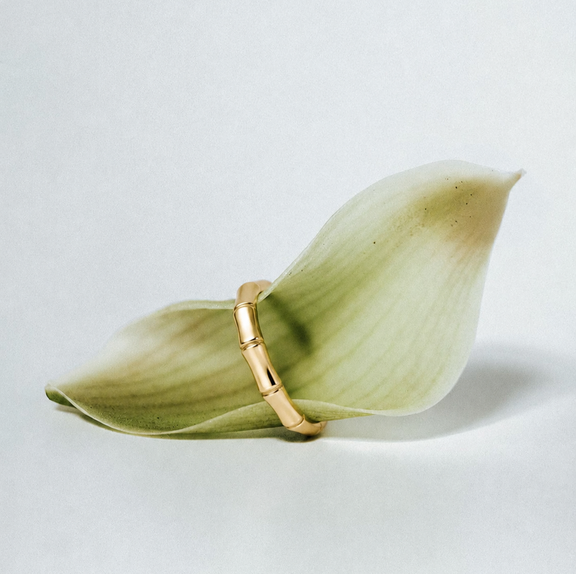 Jewels That Changed History